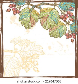 Hand drawn autumn berries retro frame.  All objects are conveniently grouped  and are easily editable.