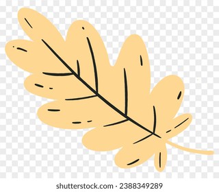 Hand drawn autumn brown  leaf isolated  on png for Thanksgiving  elements  