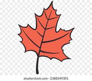 Hand drawn autumn brown  leaf isolated  on png for Thanksgiving  elements  