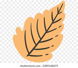 Hand drawn autumn brown  leaf isolated  on png for Thanksgiving  elements  