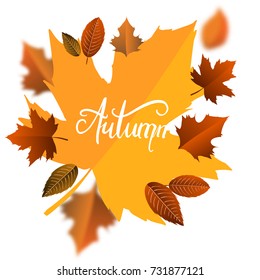Hand Drawn Autumn calligraphy for Background Template, Web Banner, shopping sale or seasonal poster, Postcard and Invitation card. Vector illustration