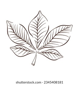 Hand drawn autumn chestnut leaf in line art style. Leaf icon for clothes, bed linen, postcards, icon, sticker, decoration. Vector illustration isolated on a white background.