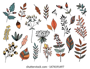 Hand drawn autumn  collection with seasonal plants and leaves