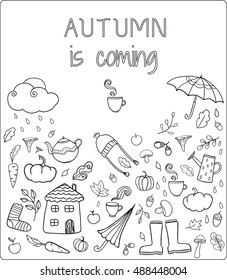 Hand drawn autumn coloring elements. Perfect vector template for coloring book, cards, design.