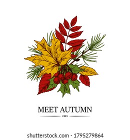 Hand drawn autumn design with maple and rowanberry leaves and berries and larch brunch isolated on white background. Vector illustration in colored sketch style. 