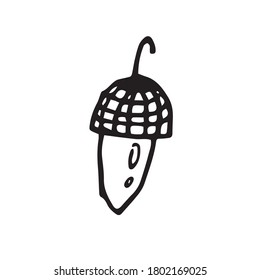 Hand drawn autumn doodle acorns . Vector illustration