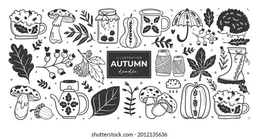 Hand drawn autumn doodle colorless illustrations. Set of cute vector objects. Illustrations for poster, background or card.