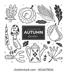 Hand drawn autumn doodle colorless illustrations. Set of cute vector objects: Leaves, chestnut, corn, umbrella, mushroom, pear, watering can, shoulder blade. 