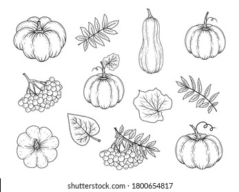 31,682 Vintage Pumpkin Drawing Images, Stock Photos & Vectors ...