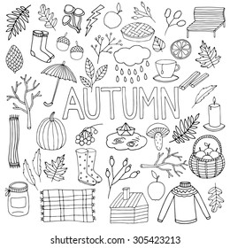 Hand drawn autumn elements set