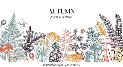 Hand drawn autumn forest background with ferns, mushrooms, fall leaves, berries and autumn plant sketches. Vintage botanical design template. Natural banner, print. Woodlands vector illustration.