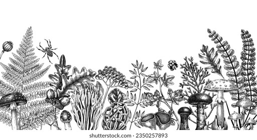 Hand drawn autumn forest background with ferns, mushrooms, fall leaves, berries and autumn plant sketches. Vintage botanical design template. Natural banner, print. Woodlands vector illustration.