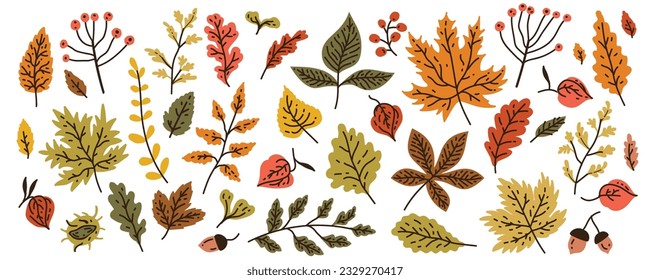 Hand drawn autumn forest leaves isolated on white