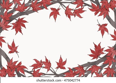 Hand drawn autumn frame template with red Japanese maple leaves and branches