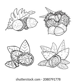 Hand drawn autumn fruitage with leaves, outline illustrations. Almond, acorn, walnut, chestnut set of drawings decorations. Healthy ingredient fall from a tree sketch symbol. Plant food berries logo.