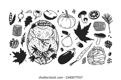 Hand drawn autumn holidays illustration. Creative ink art work. Actual vector black and white drawing. Thanksgiving Day set: food, drinks, things