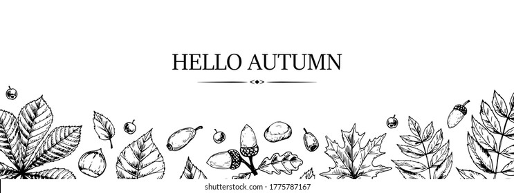 Hand drawn autumn horizontal banner with falling leaves, acorn and berries. Vector illustration in sketch style isolated on white. Space for text. Hello Autumn