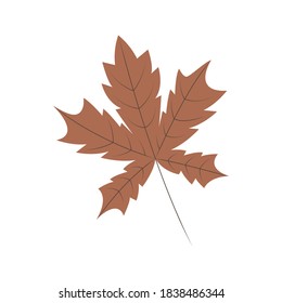 Hand drawn autumn leaf in brown color, vector illustration on isolated white background in modern style. Concept for seasonal banner, poster, card.