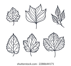Handgezeichneter Herbstleaf-Kontrast oder Rahmenvektorsatz