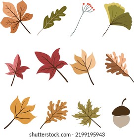 Hand drawn autumn leaf, Design Elements