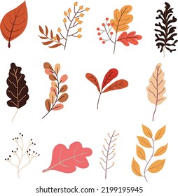Hojas de otoño dibujadas a mano, elementos de diseño