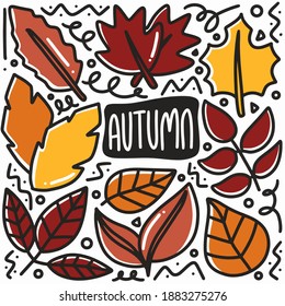 hand drawn autumn leaf doodle set with icons and design elements