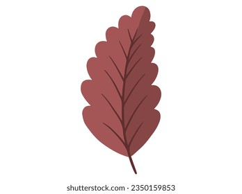 Hand Drawn Autumn Leaf Illustration