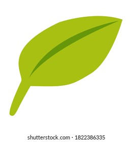 Hand drawn autumn leaf isolated on white background. Yellowish green. Doodle cartoon style. Botanical sketch. Nature and ecology. For templates, postcards, scrapbooking, prints and patterns
