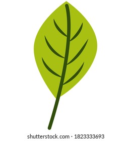 Hoja dibujada a mano en otoño aislada en fondo blanco. Verde amarillento. Estilo de dibujos animados Doodle. Esbozo botánico. Naturaleza y ecología. Para plantillas, tarjetas postales, reservas de recortes, impresiones y patrones