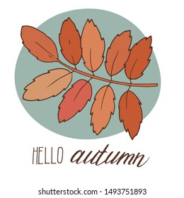 Hand drawn autumn leaf with hand lettering - 