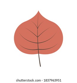 Hand drawn autumn leaf in orange color vector illustration on isolated white background in modern style. Concept for seasonal banner, poster, card.