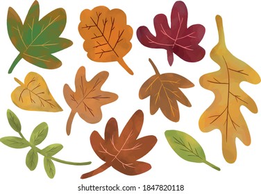 Hand Drawn Autumn Leaf Set