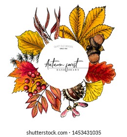 Hand drawn autumn leaf. Vector colorful tree leaves. Fall forest folliage. Maple, oak, chestnut, birch, acorn, ginkgo biloba, eucalyptus, willow, guelder rose pine Poster design holiday decoration.