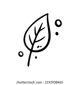 Hoja de otoño dibujada a mano, hoja de otoño. Ilustración vectorial en estilo Doodle. Aislado en blanco.