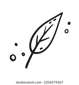 Hand drawn autumn Leaf of willow. Vector illustration in Doodle style. Isolated on white background.