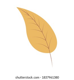 Handgezeichnetes Herbstblatt in gelber Farbe, Vektorgrafik auf isoliertem weißem Hintergrund im modernen Stil. Konzept für saisonale Banner, Poster, Karte.