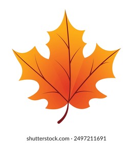 Hand drawn autumn leave isolated on white background.