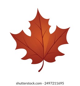 Hand drawn autumn leave isolated on white background.