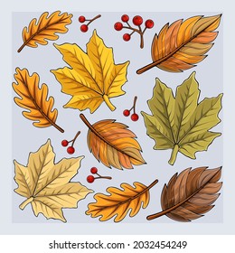 Hand drawn autumn leaves collection, Autumn colorful leaves falling