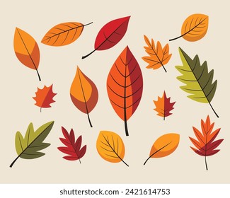 hand drawn autumn leaves collection