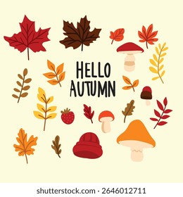 Hand drawn autumn leaves collection  isolated set, autumn elements illustration vector set