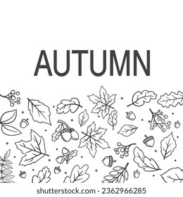 Hand drawn autumn leaves doodles shaped. Falling leaves.Line art autumn leaves maple, oak,acorn.Sketch, design elements. Tree leaves.Oak branch outline.Vector illustration.Round floral pattern.