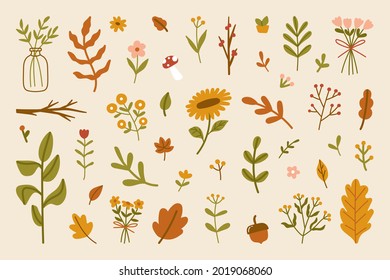 Hand drawn autumn leaves and flowers abstract decorative seasonal autumnal elements collection