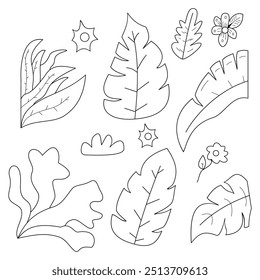 Hand drawn autumn leaves outline of various trees, oak, maple, chestnut. Leaf line art collection for coloring book, pattern, sticker.