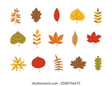 Hand drawn Autumn Leaves set. Seasonal multicolored elements for design. Botanical plant background for posters card. Foliage illustration. Maple, oak, birch leaf