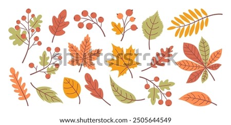 Hand Drawn Autumn Leaves Set