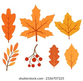 Handgezeichnete HerbstblätterAhorn, Eiche oder Birke und Rowan-Blätter. Fallende Herbstblätter und -beeren Aschbeere.Herbstblätter Symbol.Gelbe Herbstblatt.Einzeln auf weißem Hintergrund.