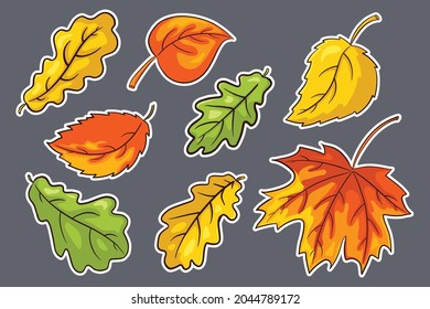 Hand Drawn Autumn Leaves Sticker Set. Collection of forest foliage. Oak, maple and hazel leaf. Autumn decorative elements for print, invitation and greeting cards design and decoration. Premium Vector