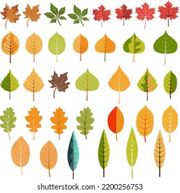 handgezeichnet von Herbstblättern, Vektorgrafik für Dekoration, Element, Karte, Präsentation, Druck, Werbung, Plakat, Ornament, Elemente, Hintergrund  