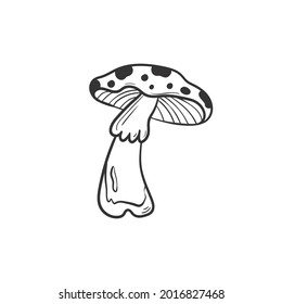 Hand drawn autumn mushroom doodle colorless illustrations. Сute vector objects. Illustrations for poster, background or card.